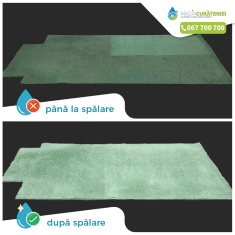 Comanda finisata – Magia curateniei 01