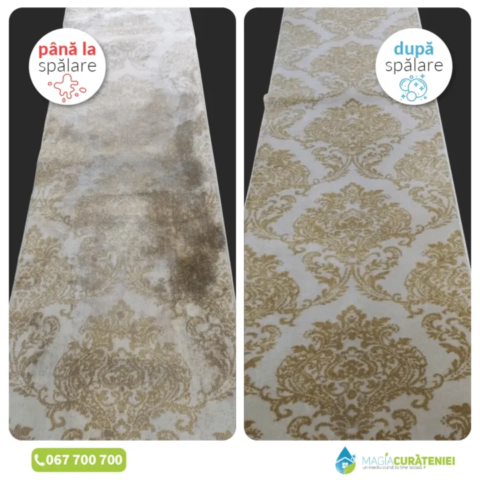 Comanda finisata – Magia curateniei 08