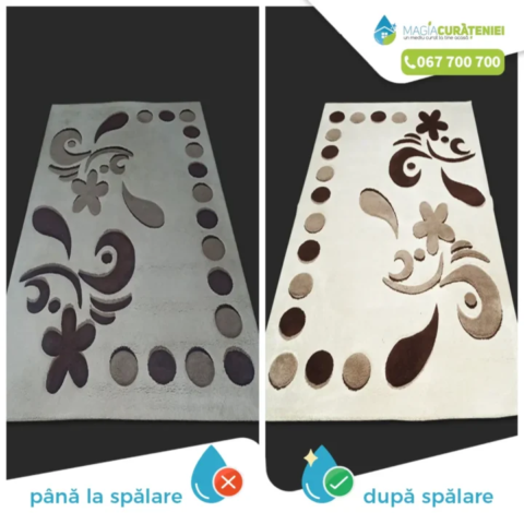 Comanda finisata – Magia curateniei 12