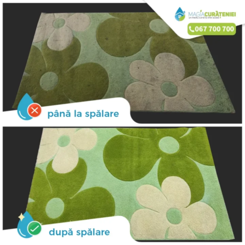 Comanda finisata – Magia curateniei 20