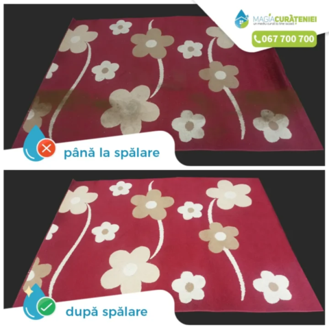 Comanda finisata – Magia curateniei 21