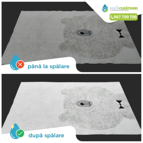 Comanda finisata – Magia curateniei 24