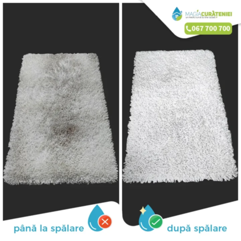 Comanda finisata – Magia curateniei 39