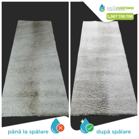 Comanda finisata – Magia curateniei 42