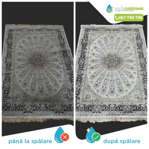 Comanda finisata – Magia curateniei 43