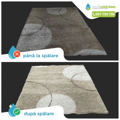 Comanda finisata – Magia curateniei 45