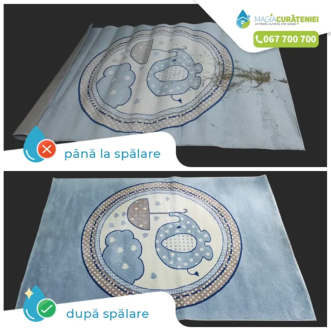 Comanda finisata – Magia curateniei 46