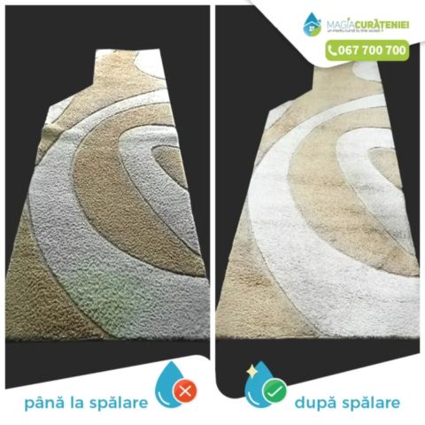 Comanda finisata – Magia curateniei 47