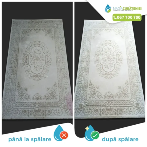 Comanda finisata – Magia curateniei 48