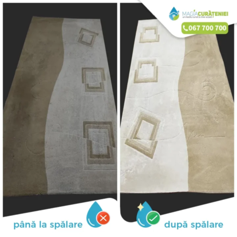 Comanda finisata – Magia curateniei 50