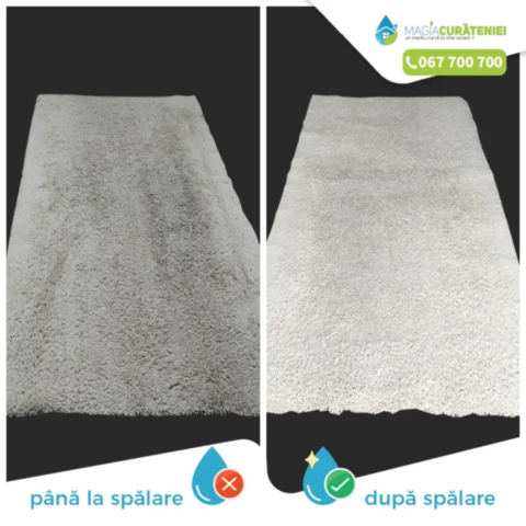 Comanda finisata – Magia curateniei 55