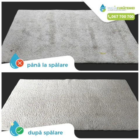 Comanda finisata – Magia curateniei 58