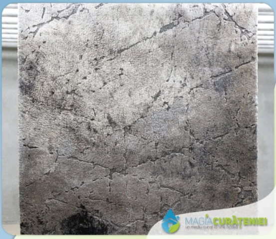 Comanda finisata – Magia curateniei 72